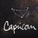 Capricorn Horoscope 2025: Career, Love, and Friendship Insights