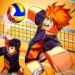 Volleyball Legends Codes